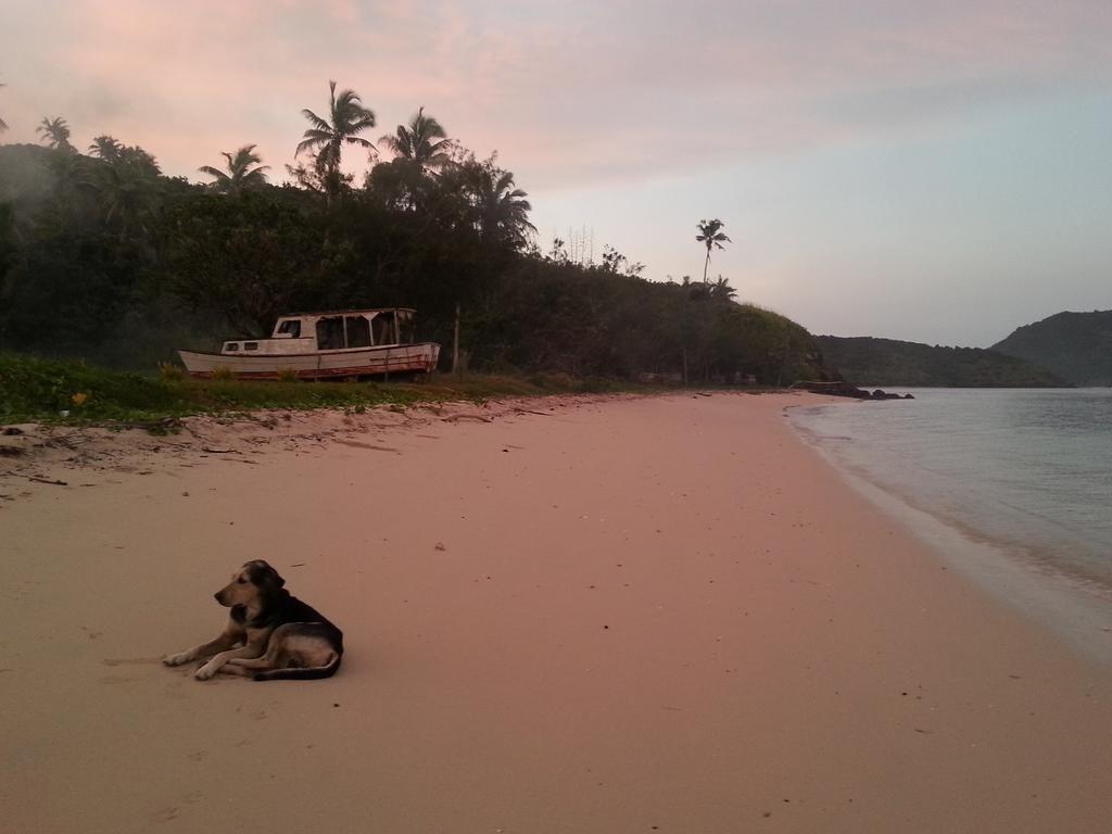 Yasawa Homestays Naisisili エクステリア 写真