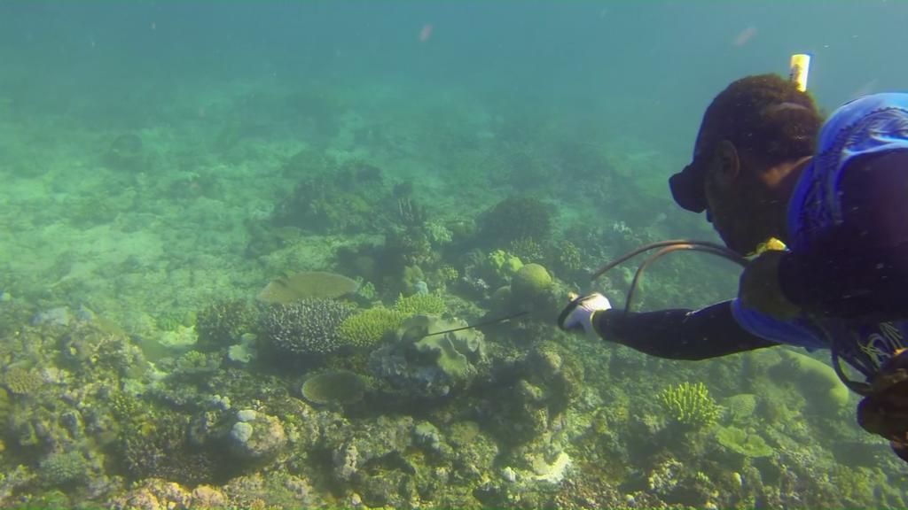 Yasawa Homestays Naisisili エクステリア 写真